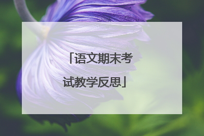 语文期末考试教学反思