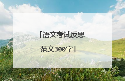 语文考试反思范文300字