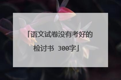 语文试卷没有考好的检讨书 300字
