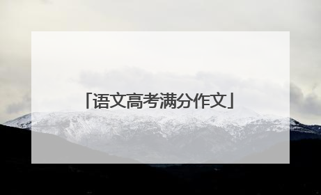 语文高考满分作文