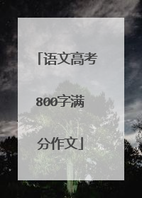 语文高考800字满分作文