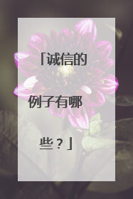 诚信的例子有哪些？
