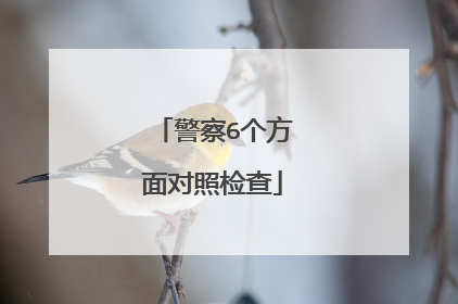 警察6个方面对照检查