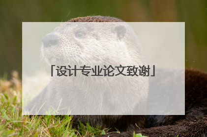 设计专业论文致谢