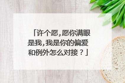 许个愿,愿你满眼是我,我是你的偏爱和例外怎么对接？