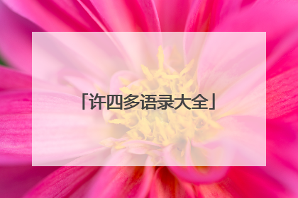 许四多语录大全