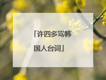 许四多骂韩国人台词