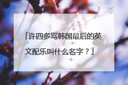 许四多骂韩国最后的英文配乐叫什么名字?