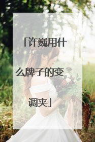 许巍用什么牌子的变调夹