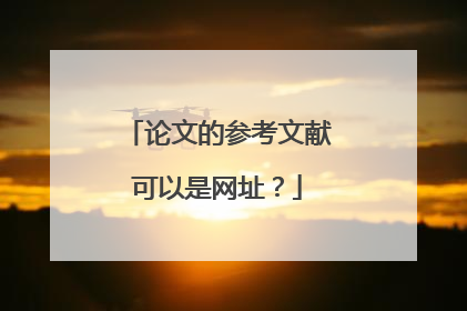 论文的参考文献可以是网址?