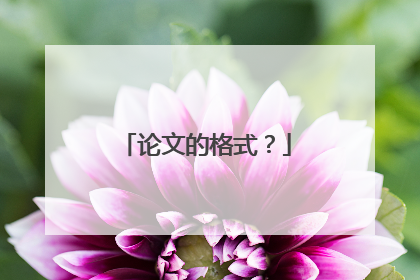 论文的格式?