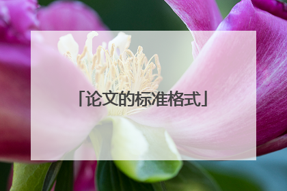 论文的标准格式