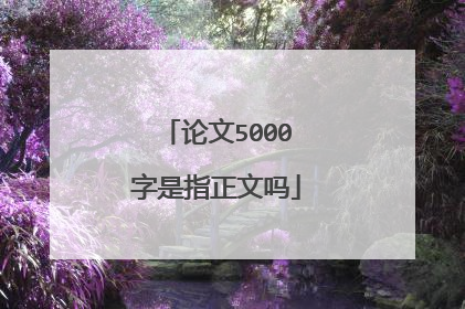 论文5000字是指正文吗