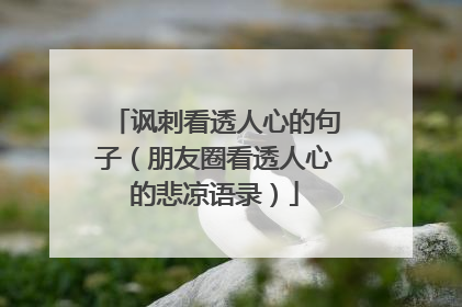 讽刺看透人心的句子（朋友圈看透人心的悲凉语录）