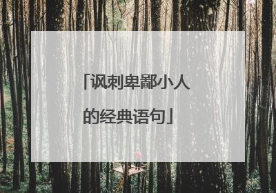 讽刺卑鄙小人的经典语句