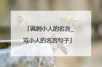 讽刺小人的名言_骂小人的名言句子