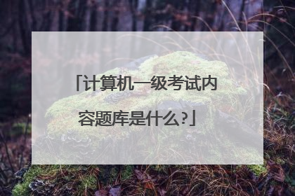计算机一级考试内容题库是什么?
