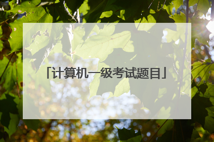 计算机一级考试题目
