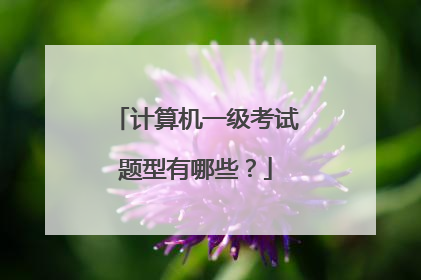 计算机一级考试题型有哪些?