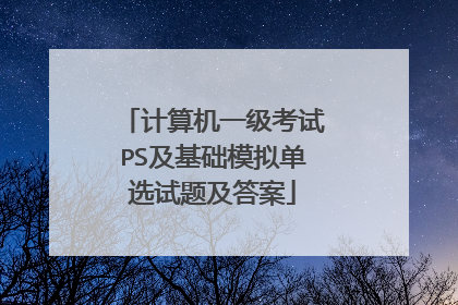 计算机一级考试PS及基础模拟单选试题及答案