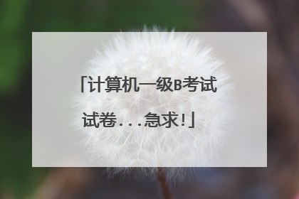 计算机一级B考试试卷...急求!
