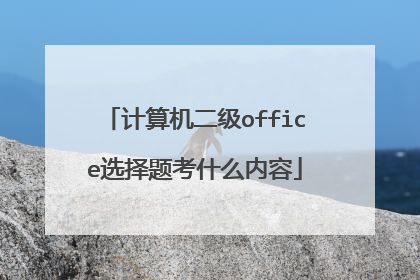 计算机二级office选择题考什么内容