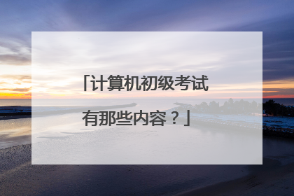计算机初级考试有那些内容?