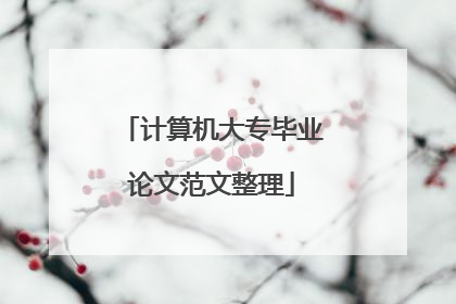 计算机大专毕业论文范文整理