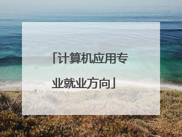 计算机应用专业就业方向