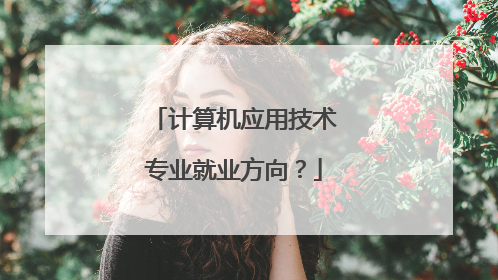 计算机应用技术专业就业方向？