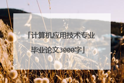 计算机应用技术专业毕业论文3000字