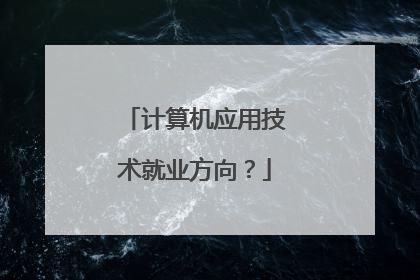 计算机应用技术就业方向？