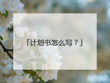 计划书怎么写？