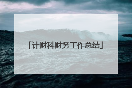 计财科财务工作总结