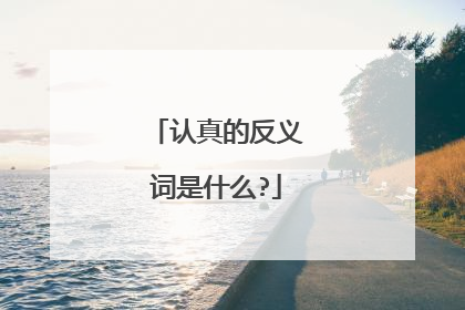认真的反义词是什么?