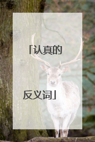 认真的反义词