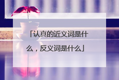 认真的近义词是什么,反义词是什么