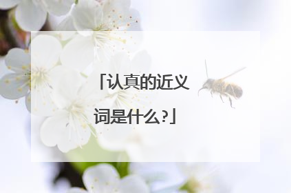 认真的近义词是什么?