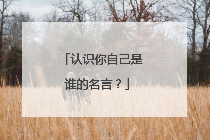 认识你自己是谁的名言？
