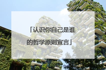 认识你自己是谁的哲学原则宣言