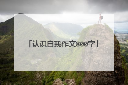 认识自我作文800字