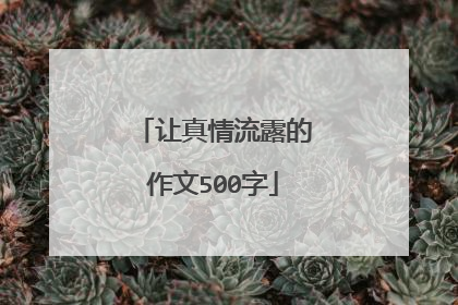 让真情流露的作文500字