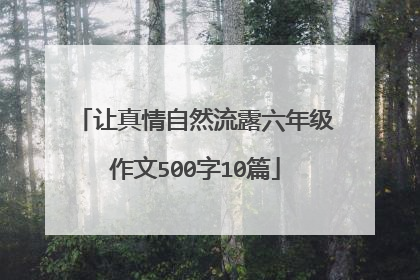 让真情自然流露六年级作文500字10篇