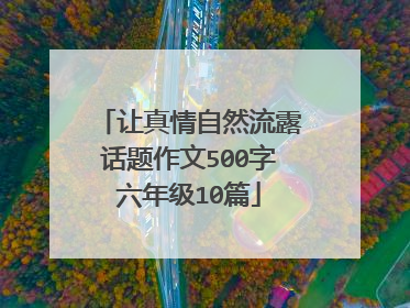 让真情自然流露话题作文500字六年级10篇