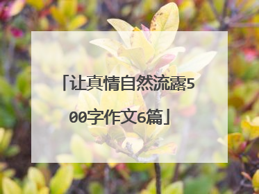 让真情自然流露500字作文6篇