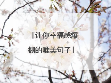 让你幸福感爆棚的唯美句子