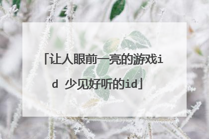 让人眼前一亮的游戏id 少见好听的id