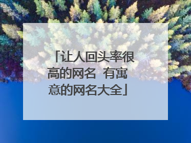 让人回头率很高的网名 有寓意的网名大全