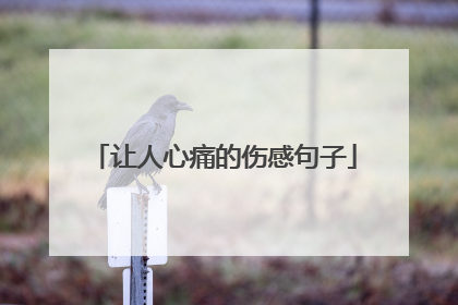 让人心痛的伤感句子