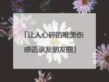 让人心碎的唯美伤感语录发朋友圈